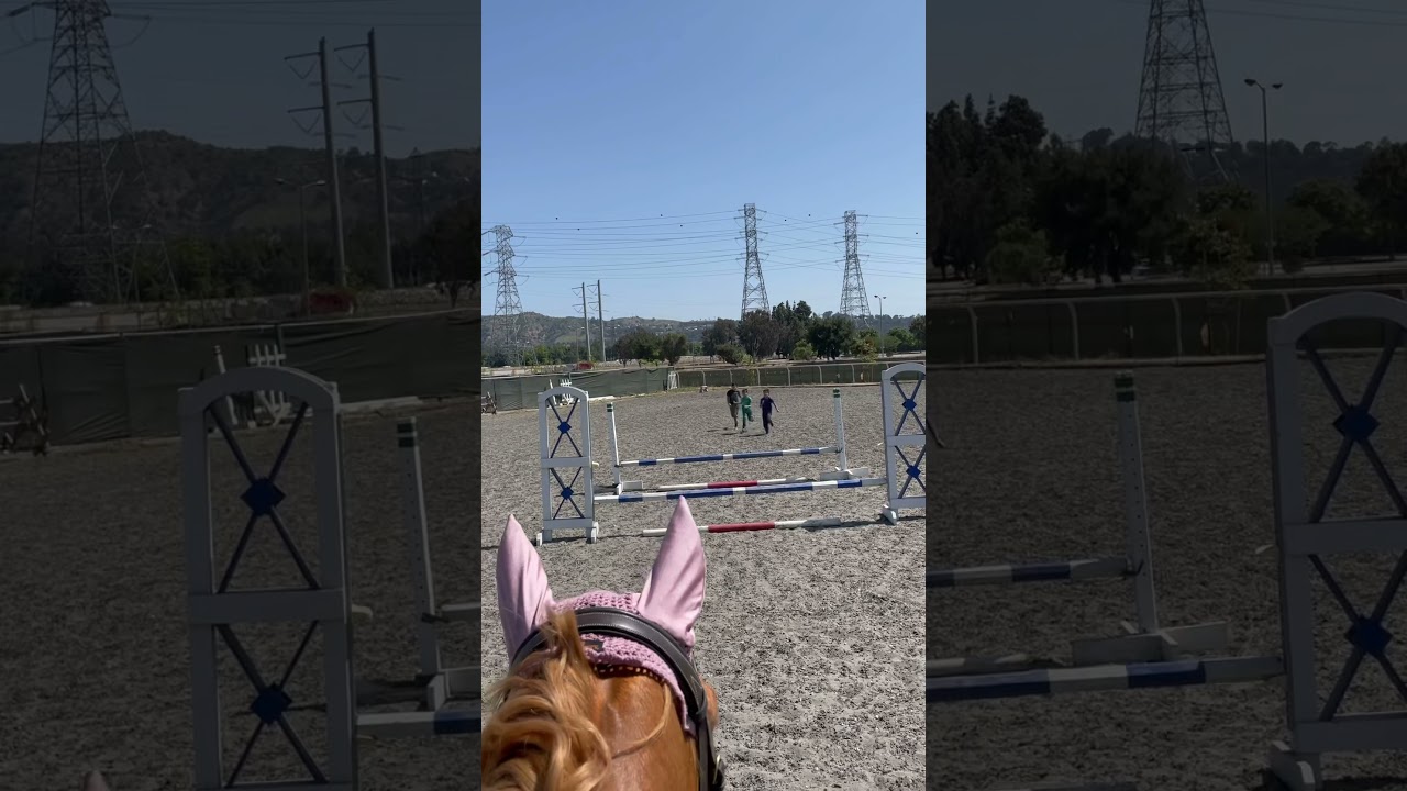 Kids race over horse jumps!! 🏃‍♂️ 