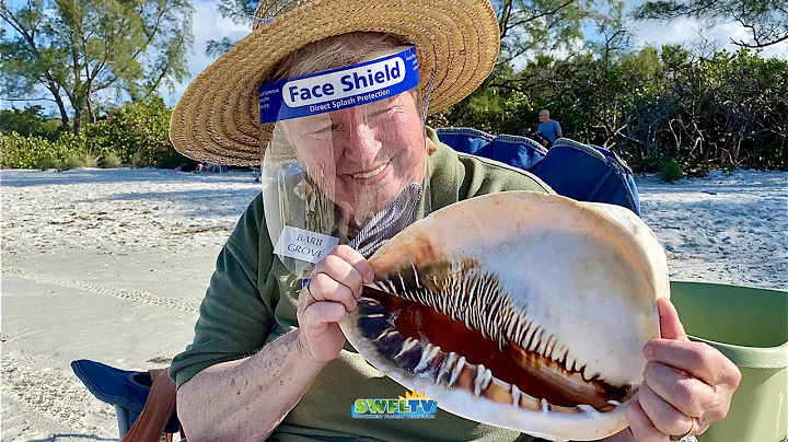 See Huge Seashells with Barbara Grove, The Shell L...