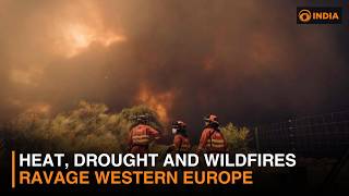 Western Europe Records Hottest June-July Ever as Heatwave Intensifies