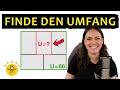 Gleichungssysteme – Anwendungsaufgabe mit Rechtecken