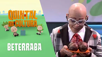 Qual é o canal que passa Quintal da Cultura?