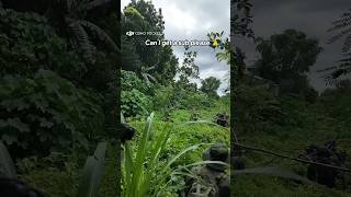 Airsoft battle | #warairsoft | #footage #shorts #video