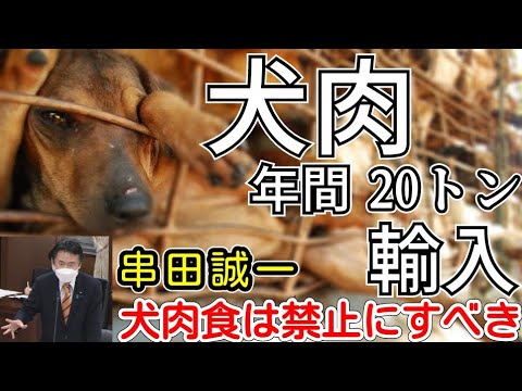 日本はレストランで犬が食べられる国【串田誠一】【国会質疑】【犬肉食禁止】