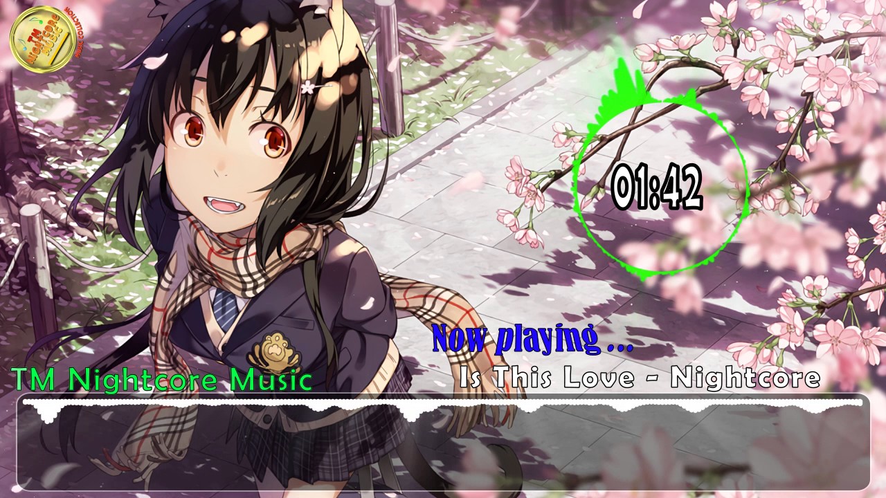 Nightcore Is This Love Kana Nishino Tm Nightcore Music Youtube