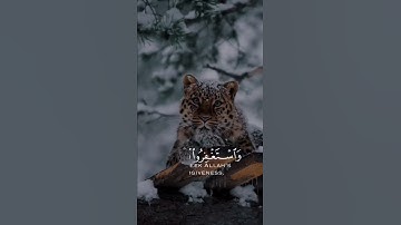 واستغفروا الله إن الله غفور رحيم | سورة البقرة | القارئ عبدالرحمن مسعد