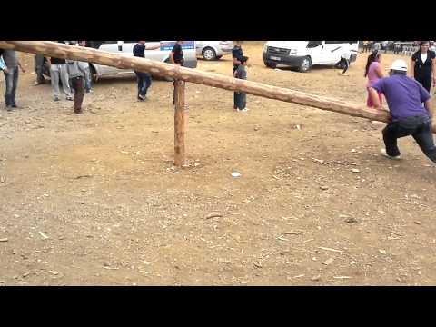 Konuklar Kasabası 4.