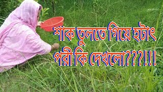 শাক তুলতে গিয়ে পরী কি নিয়ে আসলোWhat did the pori bring when picking vegetablesvillagelifewithpori