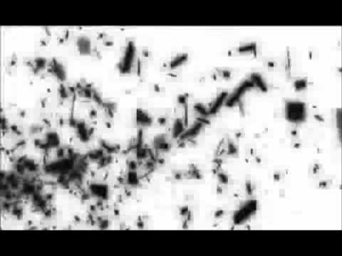 【Miku x Akiakane x Teto】Final Reason【ゆよゆっぺ】