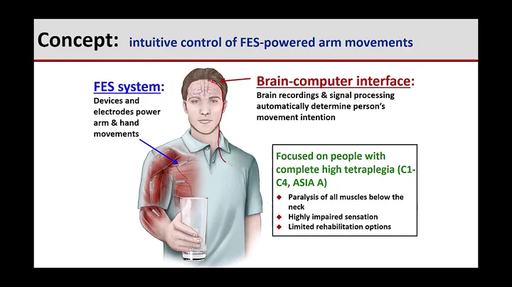 FINE Evening - Reconnecting the Hand and Arm to th...