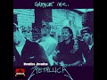 Metallica – Breadfan
