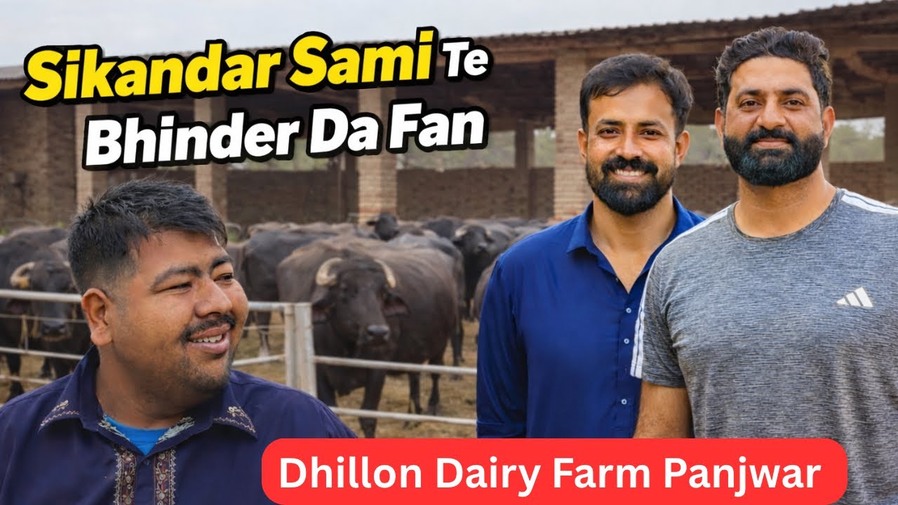 Sikandar Laga Farm da Incharge | waqar Bhinder da Fan | Dairy Farm construction 