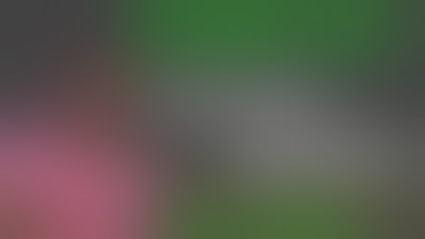 incometax important question B.com second years