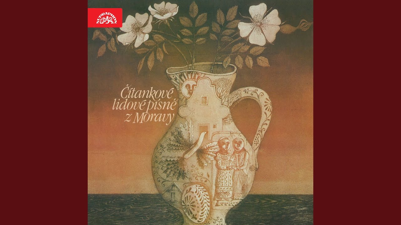 Jakú sem si frajírenku