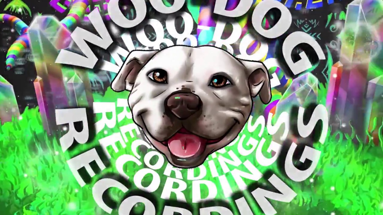 6.  Cosinus - GrapeApe  (WooDog Recs 2017)