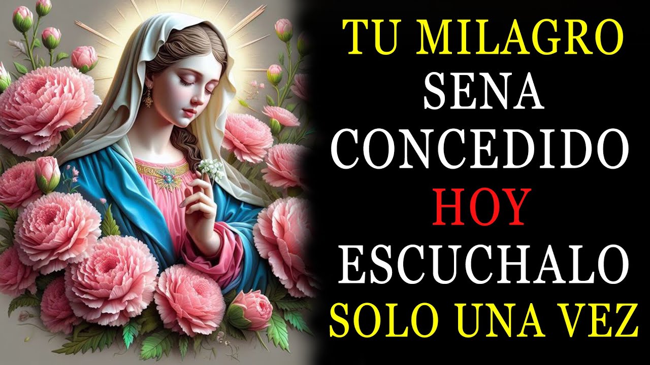 PODEROSA ORACIÓN para RECIBIR un MILAGRO HOY - SAN ANTONIO y NUESTRA ...