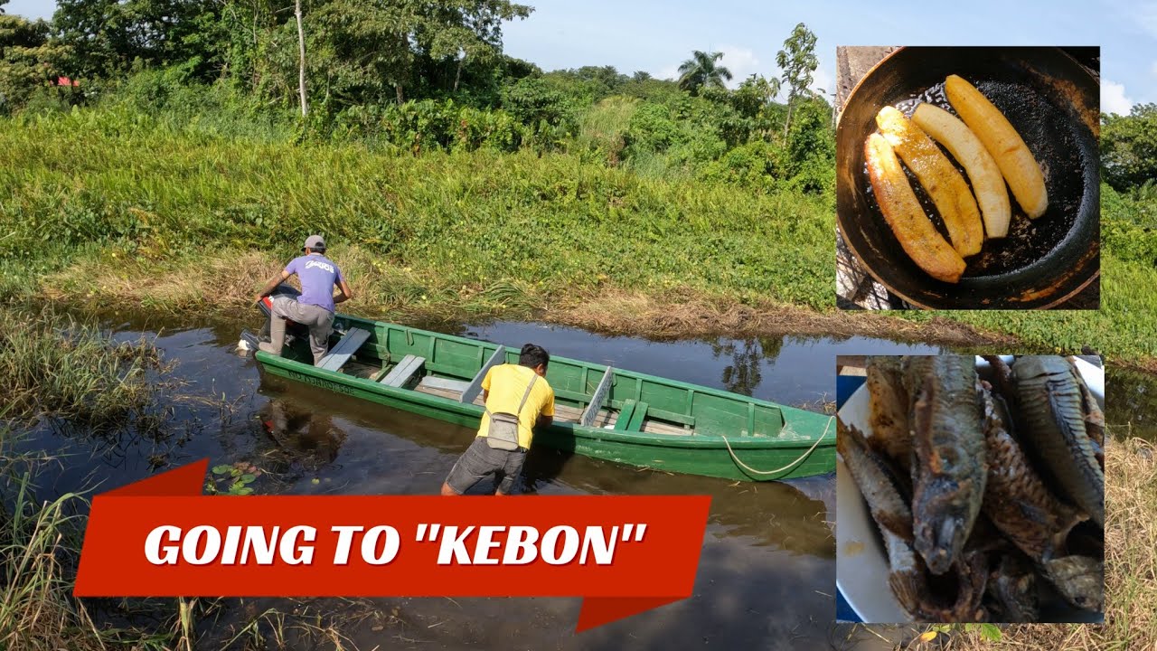 GOING TO "KEBON" IN SURINAME || MhaeSan's