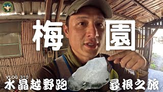 【梅園】水晶、鹿角必中路線推薦，都達（Toda）族人殘破的回家之路｜梅園 ｜探險威狼 Wilang Explorer ｜越野跑｜秘境｜花蓮秘境｜太魯閣國家公園｜秀林鄉｜Vlog 310
