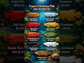 🐟 Amazing Types of Arowana Fish! ✨Discover Asian, Red, Golden, Silver #Arowana #shorts