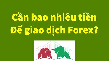 Forex | Cần Bao Nhiêu Tiền Để Bắt Đầu Giao Dịch Forex | Đầu Tư Forex