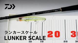 【商品説明動画】ランカースケール