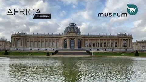 Initiatives mises en place par nos musées et instituts fédéraux [3/4] #Nature