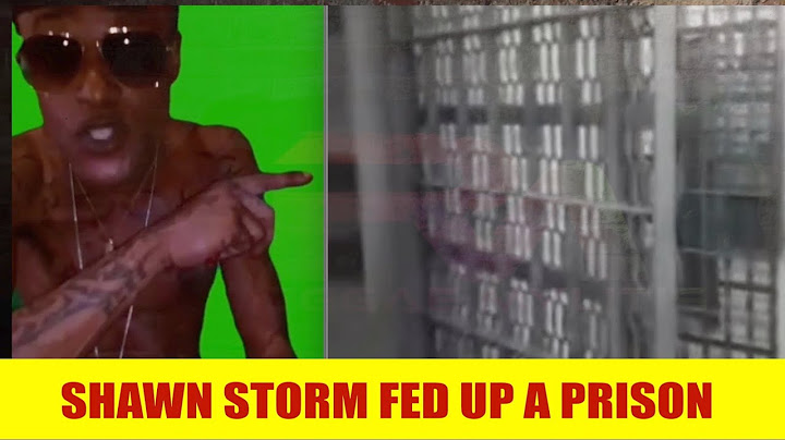 SHAWN STORM BASH GOVERNMENT & PRISON #shorts