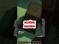 WELCHER TYP bist DU in Minecraft?!! #shorts