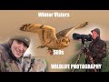 Wildlife Photography Birds in Flight Owls Plus Bloopers | Winter Visitors