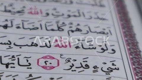 سورة النمل (15) #تلاوة_خاشعة #تلاوة_هادئة #تلاوات #تلاوة