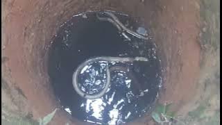 Download lagu Dari hutan durian kondisi sumur penuh ular jenguk pakde bukde