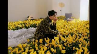 EXO Chen Mirage of Flower & Suho Decanting MASHUP
