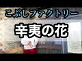辛夷の花 こぶしファクトリー 歌ってみた