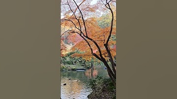 الشيخ محمد صديق المنشاوي.. سورة الحديد... القرآن الكريم... اليابان .. ناريتا.... Japan Nurita quran