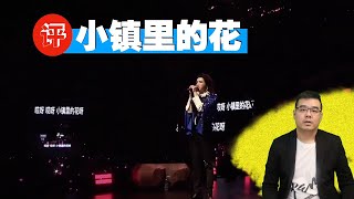 尤静波教授评：华晨宇《小镇里的花》