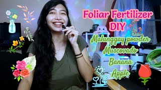 Foliar Fertilizer DIY recipe backyard garden Paggawa ng Pampabunga Pampabulaklak sa Halaman