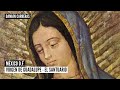 VIRGEN DE GUADALUPE - EL  SANTUARIO