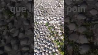bart-miva (pas dans un rond poin)