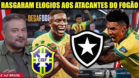 COMENTARISTAS RASGAM ELOGIOS AOS JOGADORES DO BOTAFOGO APOS CHILE 1 X 2 BRASIL! VITORIA DA SELEÇÃO