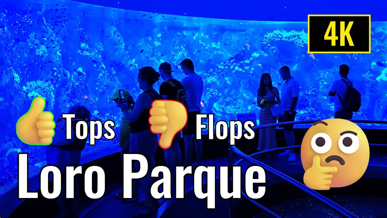 Loro Parque Tops und Flops. Ein Rundgang durch den Tierpark in Puerto de la Cruz aus Besucher-Sicht