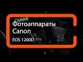 Обзор фотоаппарата Canon EOS 1200D