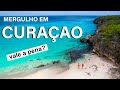 CURAÇAO | MERGULHO EM ÁGUAS CRISTALINAS - VALE A PENA??