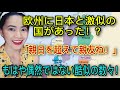 欧州に日本と激似の国があった！？もはや偶然ではない酷似の数々！「親日を超えて親友ね！」A country in Europe that is very similar to Japan