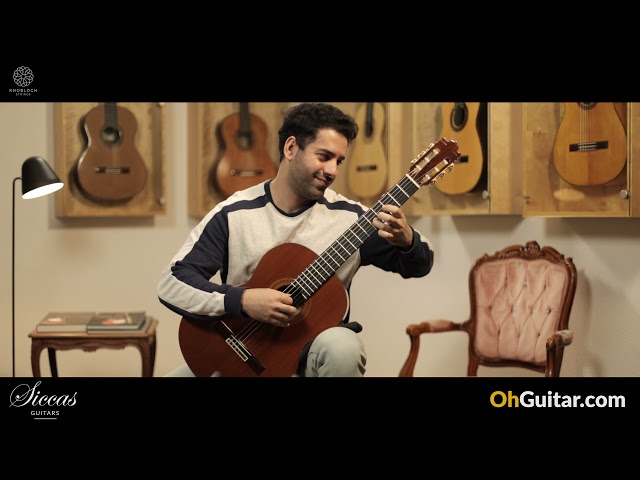 Paulino Bernabé Sr. 1977 Classical Guitar - Ständchen by F. Schubert played by Jouyan Tarzaban