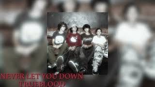 Never Let You Down Slowed - Trueblood Resimi