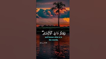 ٱللَّهَ عِندَهُۥ عِلۡمُ ٱلسَّاعَةِ #quran #خالد_الجليل #سورة_لقمان #تلاوة_خاشعة #المصحف #قرآن