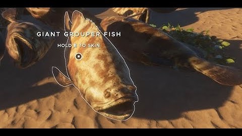 How to get a Giant Grouper Fish in Stranded Deep, Tutorial 1