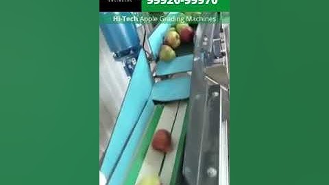 Washing ,Cleaning, Drying, Polishing, Electronic Grader by Hi-Tech Grading Machines - 99920-99970