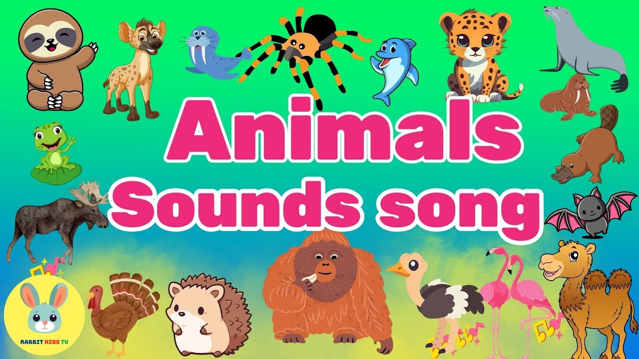 The Rhyming Rabbit Animals Animal Zoo More | Nursery Rhymes | Rabbit Kids TV - YouTube