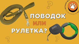 Что выбрать для питомца: поводок или рулетку? 🐶