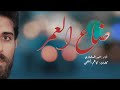 كليب ضاع العمر امير المسلماوي 